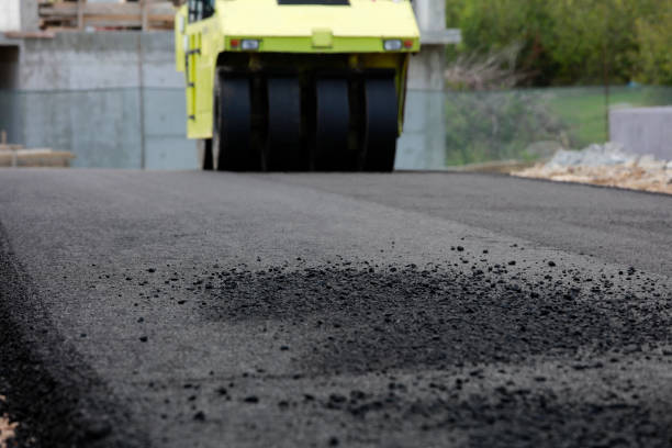 Best Driveway Paver Repair  in Capitan, NM
