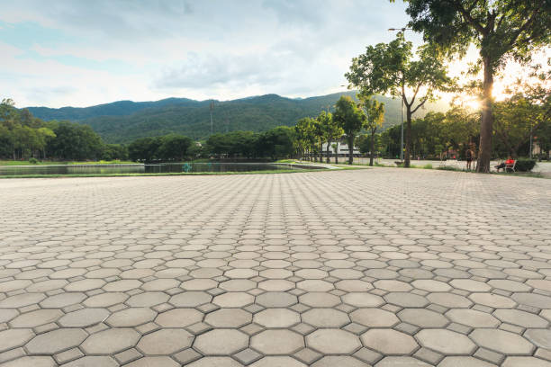 Best Interlocking Driveway Pavers  in Capitan, NM
