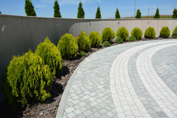 Best Driveway Repair Near Me  in Capitan, NM